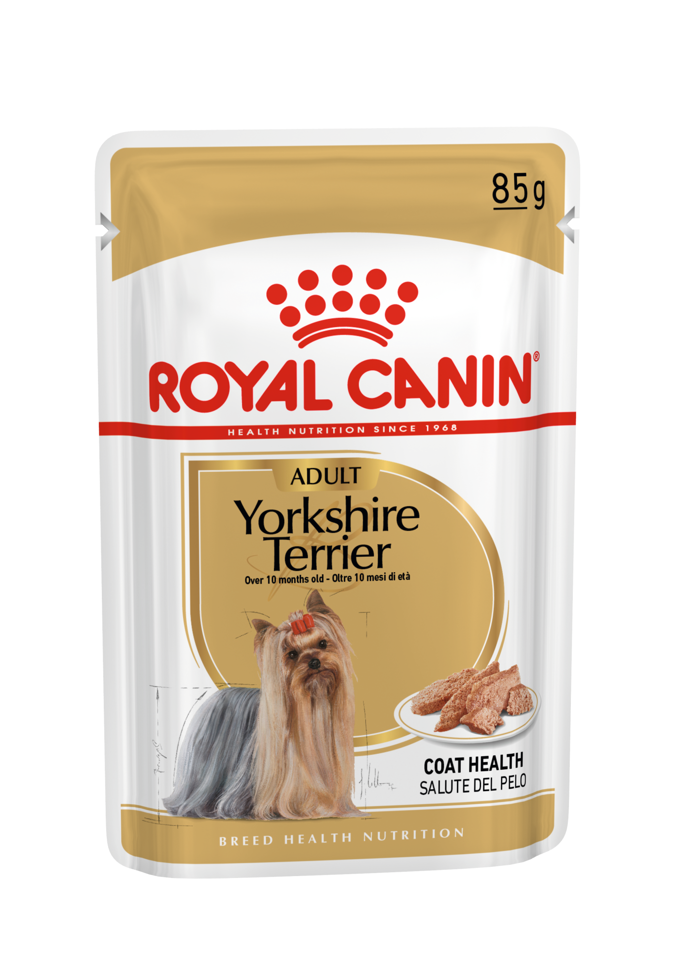 Yorkshire Terrier Mokra